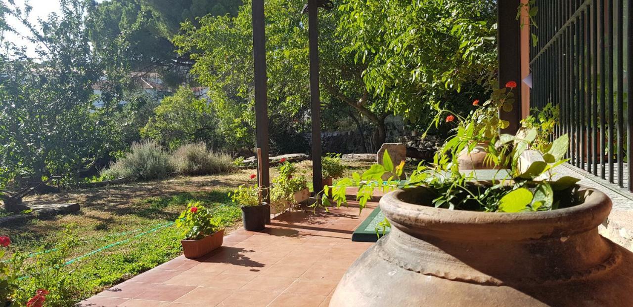 Apartamentostrevejo La Noguera Villamiel Appartement *