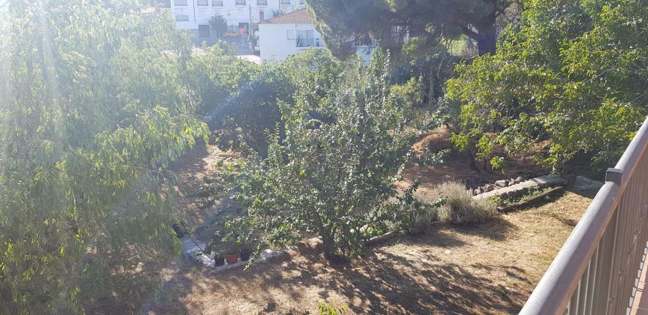 Apartamentostrevejo La Noguera Villamiel Appartement *